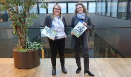 I procedimenti amministrativi in Alto Adige