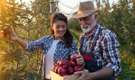 Imprese agricole altoatesine