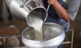 Barometro dell’economia - cooperative agricole