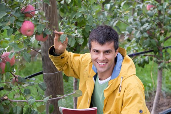 Wirtschaftsbarometer - Landwirtschaft