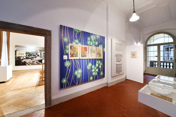 Sonderausstellung Sonderausstellung