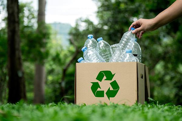 Plastikflaschen in einem Karton