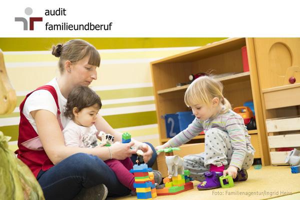 audit familieundberuf