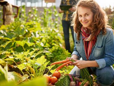 Vendita diretta di prodotti agricoli