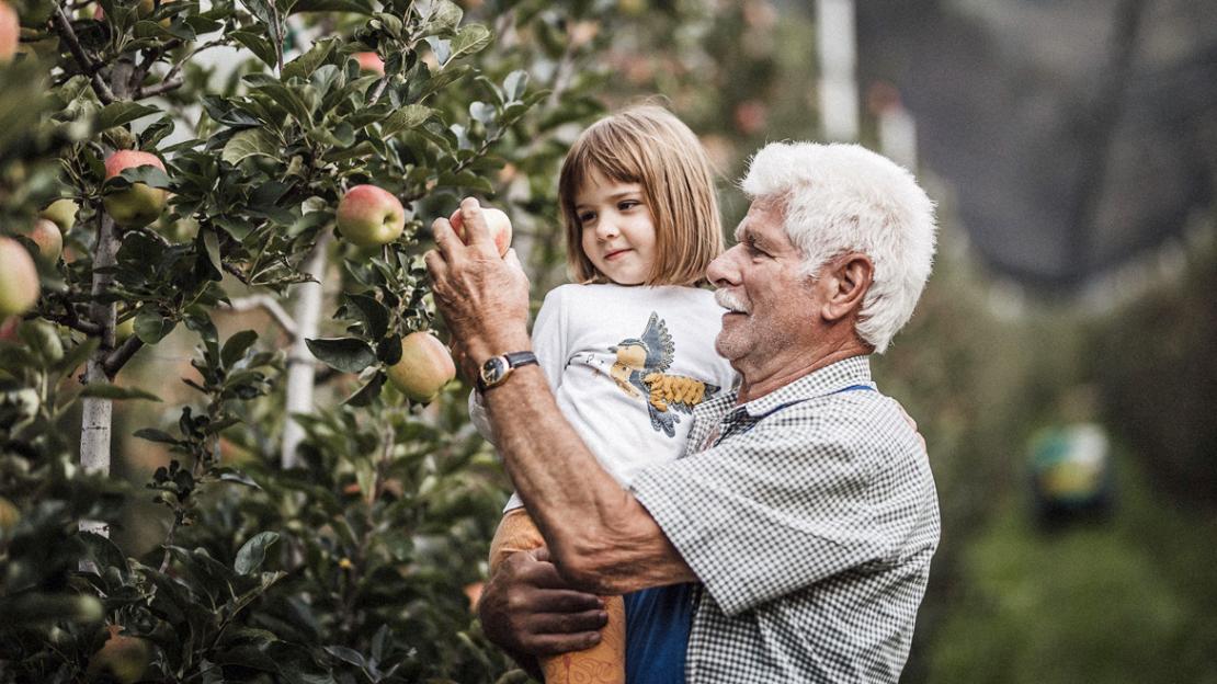 sustainapple heißt die Strategie zur nachhaltigen Entwicklung der Südtiroler Apfelwirtschaft. sustainapple heißt die Strategie zur nachhaltigen Entwicklung der Südtiroler Apfelwirtschaft.