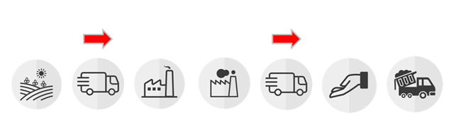 Net-Zero-Strategie