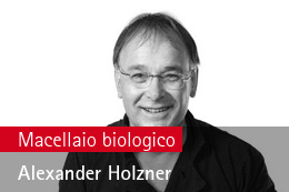 Alexander Holzner