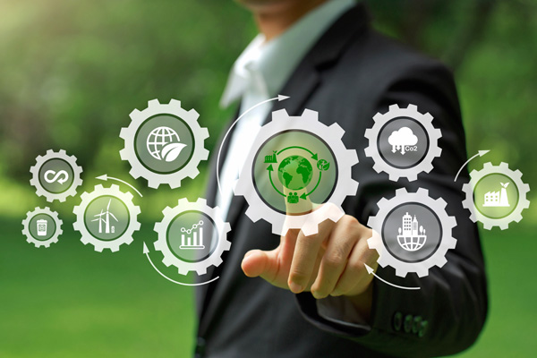 Digitalizzazione & sostenibilità nelle PMI